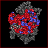 Hemoglobin