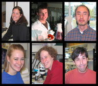 Lab Team
