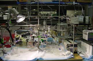 The lab setup that mimics the function of the cardiovascular system.